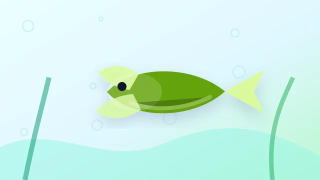 Kubotai Rasbora (Microdevario kubotai) in a freshwater aquarium