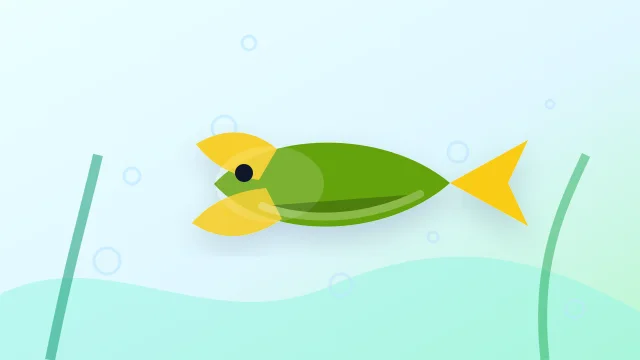 Pea Puffer (Carinotetraodon travancoricus) in a freshwater aquarium