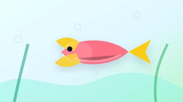 Rosy Barb (Pethia conchonius) in a freshwater aquarium